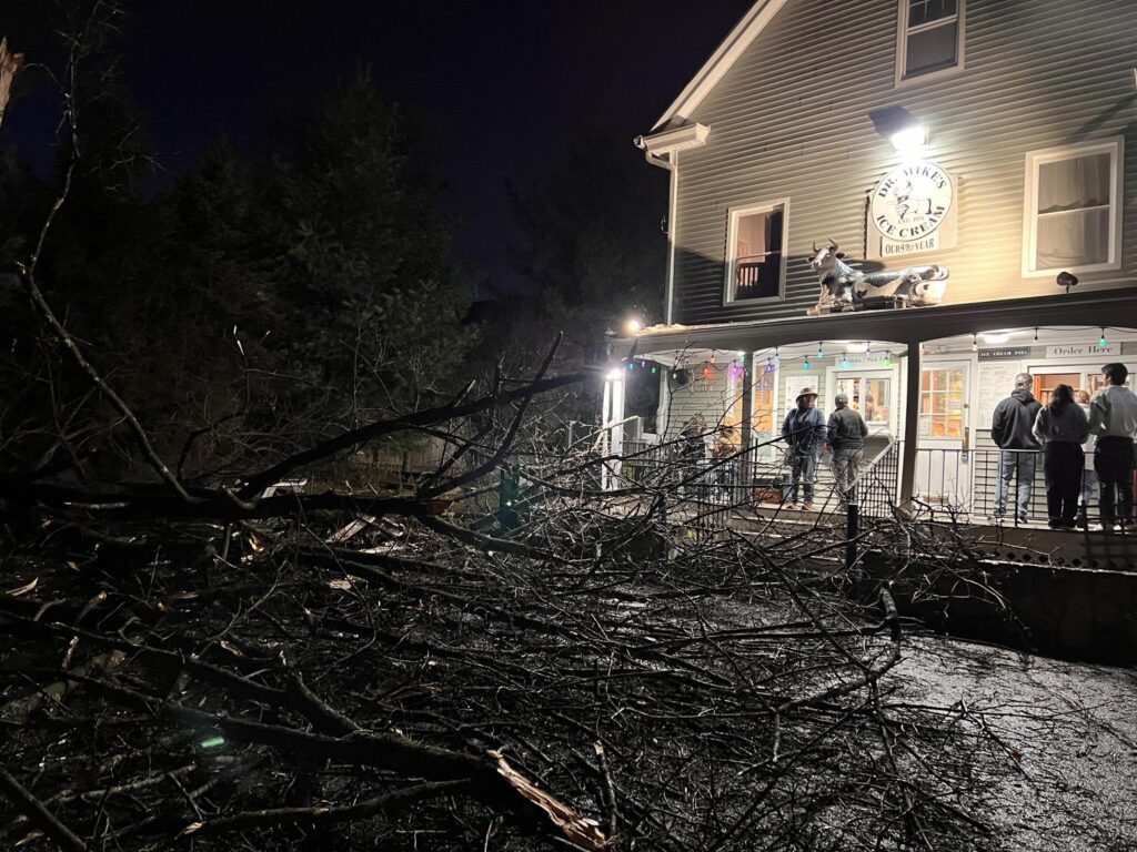 Tree down in Bethel, CT