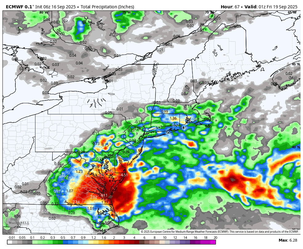 European model - Rainfall