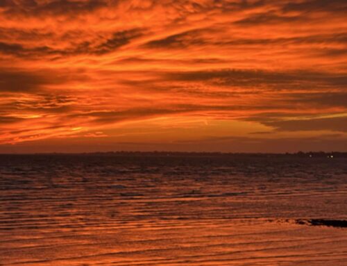 What Made Last Night’s Sunset So Epic?